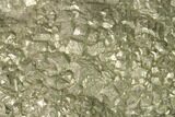 Natural Pyrite Concretion - China #142986-1